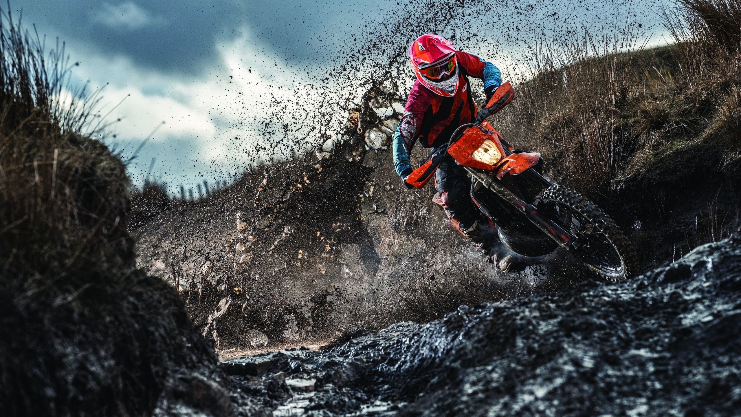 勒沃库森冲垮哥伦比亚防线，加维硬仗之王诠释中场统治力