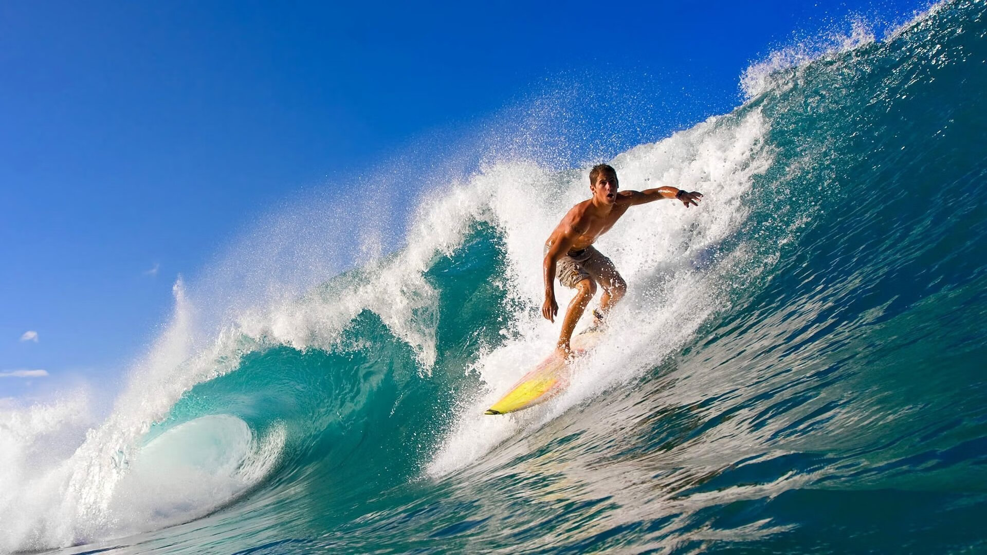 开云体育APP下载-范戴克，在欧冠淘汰赛的棋盘上，他让时间学会了服从