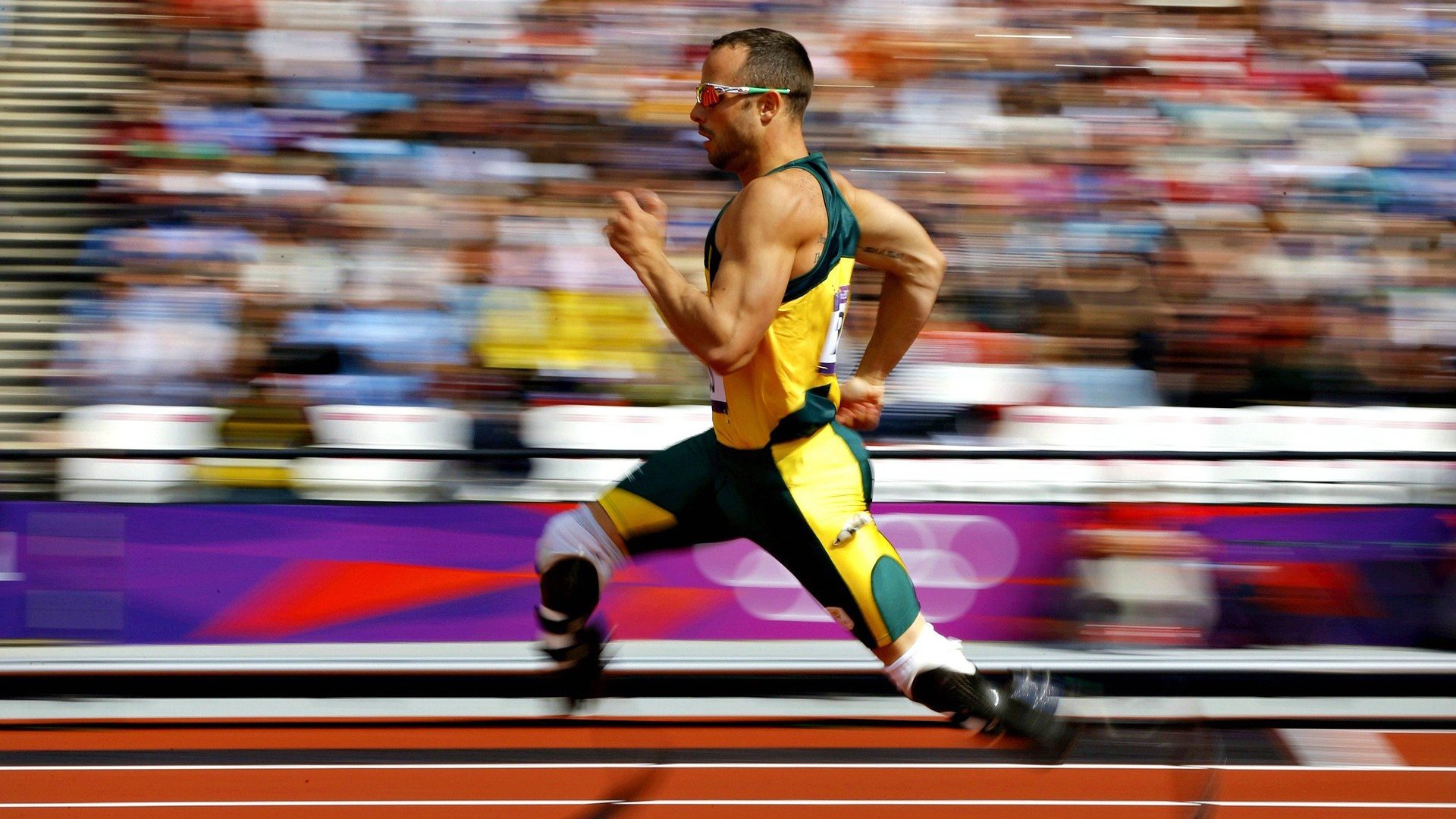 拉沃尔杯绝杀戴维斯杯？辛纳状态火热背后的网球新纪元